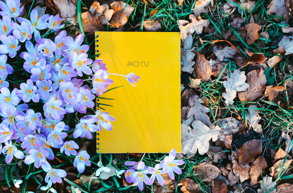 MOYU Notebooks Notitieboek geel Flavourites