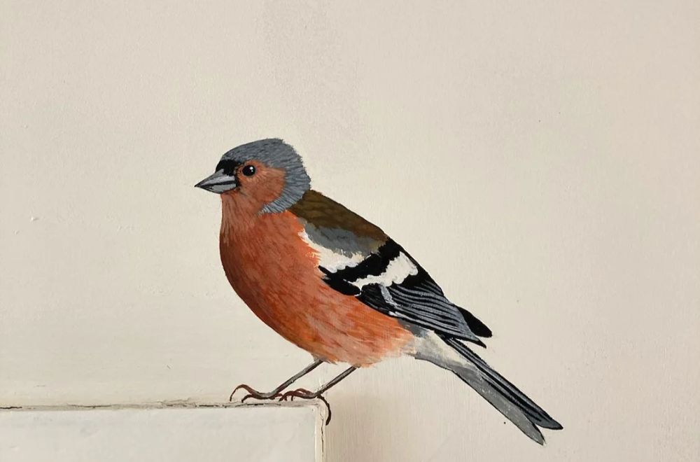 Win een handgeschilderde vogel op je muur t.w.v. € 122,50! 