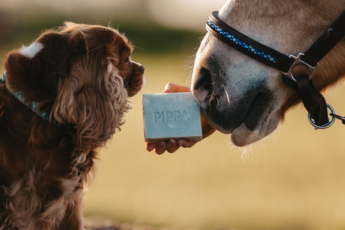 Natuurlijke zeep voor hond en paard van Pippa Equestrian