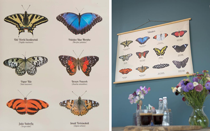 Mijn persoonlijke favoriet, de poster met vlinders die ik in mijn slaapkamer heb hangen
