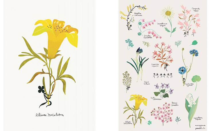 De botanic posters van het merk Tinou le joli Senoville zijn mijn favoriet!